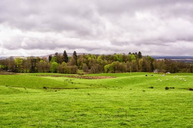 İskoçya, Birleşik Krallık'da bir bulutlu gökyüzü altında yeşil tarım alanları