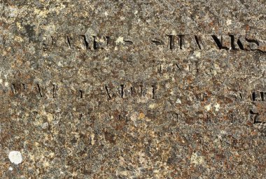 Çok renkli liken ile kısmen okunabilir oyulmuş Latin harfleri ile eski taş yüzeyi kaplı