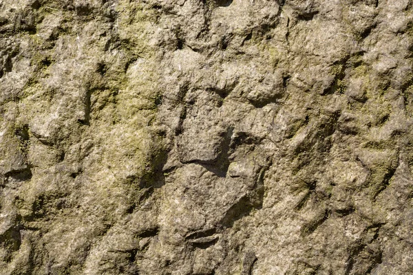 Superfície Granito Irregular Áspera Com Manchas Líquen Verde — Fotografia de Stock
