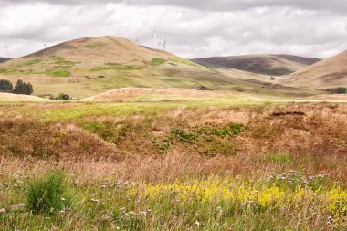 Glen Devon tepelerde üzerinde görüntüleyin. Rüzgar türbinleri bir mesafede