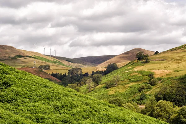 Ladera Escocesa Pintoresca Vista Sobre Glen Devon Turbinas Eólicas Distancia —  Fotos de Stock