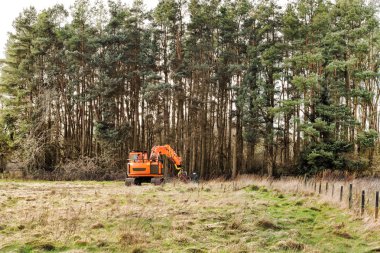 Biçerme arabası Loch Leven, İskoçya'da ormancılık işi yapıyor