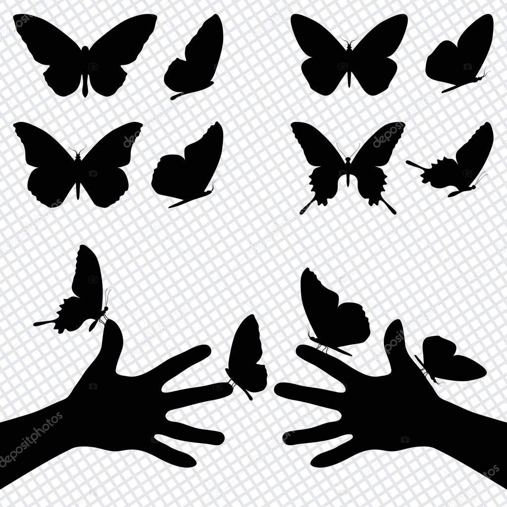 Collection silhouettes of a butterflies. Sitting on the hands