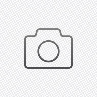 Photo camera, linear symbol with thin outline, simple icon. On grid background clipart