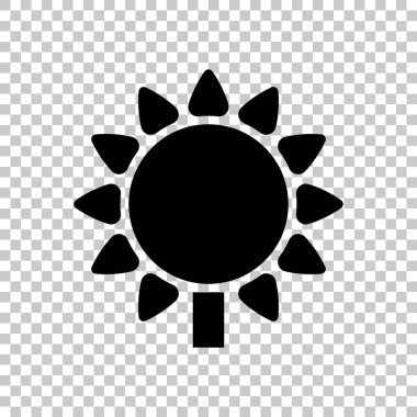 Ayçiçeği, bitki. Doğa simgesi. Saydam arka plan üzerinde.