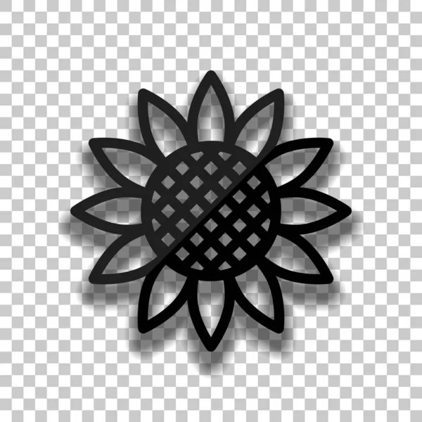 Sunflower, plant. Nature icon. Black glass icon with soft shadow on transparent background