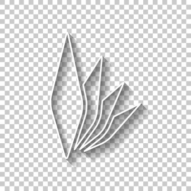 yaprak bambu. basit siluet. Gölge şeffaf arka plan üzerinde beyaz anahat işaretiyle
