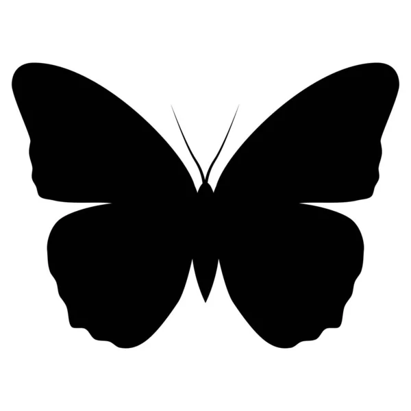 Silueta Motýl Ikony Bílém Pozadí — Stockový vektor