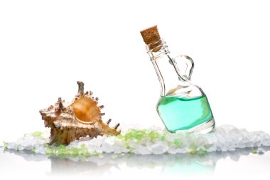 Cam şişe, kabuk, beyaz bir arka plan üzerinde deniz tuzu.