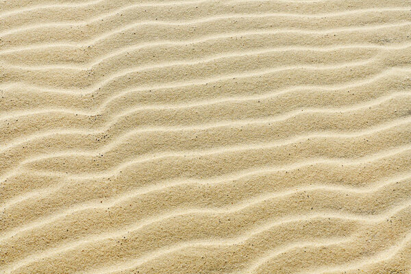 Textured background of beautiful wavy yellow sea sand.