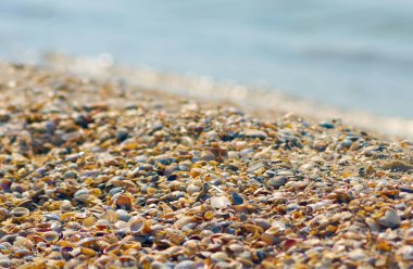 Deniz kıyısı küçük renkli kabuklar ile çivili.