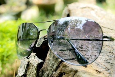 Bir ahşap gövdesinde yer sunglass ...