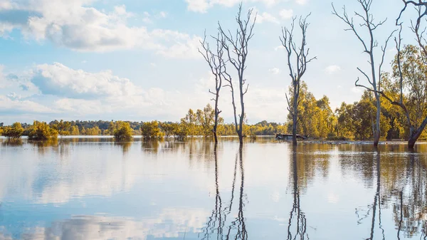 Gün batımı nda ağaçların yansımaları ile berrak su gölü