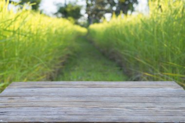 Pirinç tarlasında tahta masa, tahta tahta tahta masa boş.