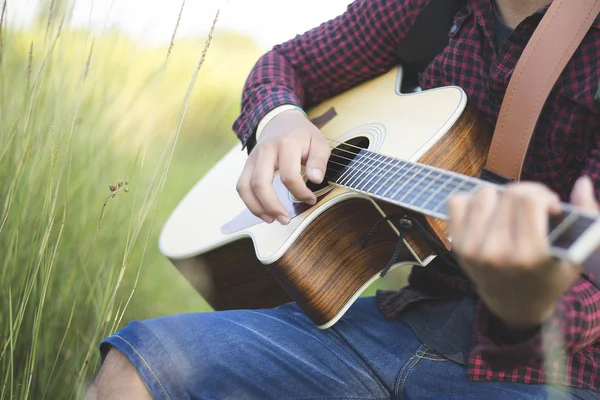 Zene a természetben, Emberek gitároznak a gyepen — Stock Fotó