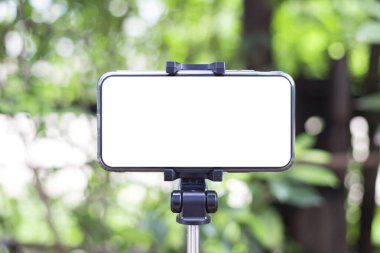 Kürsüde akıllı telefon beyaz ekranı, Teknoloji ve Çevre Konsepti.