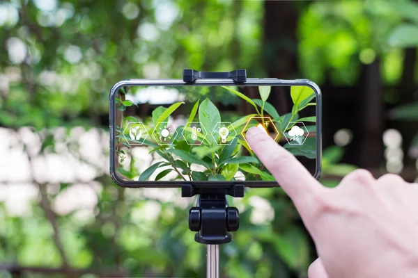 Teknoloji ve Çevre kavramı, insanlar ve bitkiler arasındaki teknoloji, akıllı telefon ekranı.