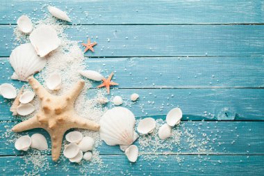 Yaz deniz arka plan - kabukları ve yıldız