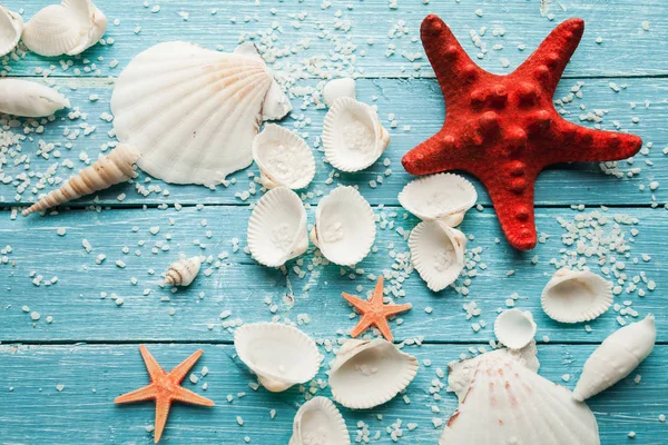 Summer sea background - shells and star — Stock Photo, Image