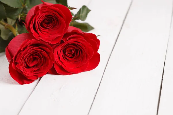 Lindas três rosas vermelhas — Fotografia de Stock