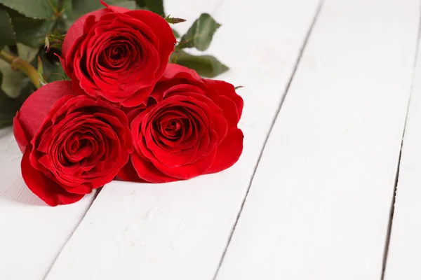 Beautiful three red roses Stock Picture