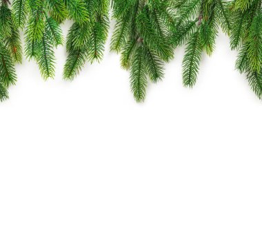 Kenarlık veya şablon olarak beyaz arka plan üzerinde Noel ağacı dalları