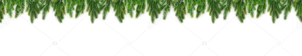 Christmas tree branches on white background as a border or template