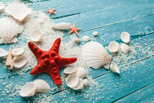 Summer sea background - shells and star — Stock Photo, Image