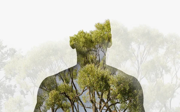 Doble exposición silueta cabeza retrato de un hombre reflexivo combinado con fotografía de paisaje forestal . — Foto de Stock