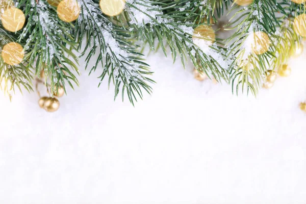 하얀 배경에 눈덮인 크리스마스 전나무 가지. — 스톡 사진