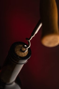 tirbuşon ve şarap şişesi