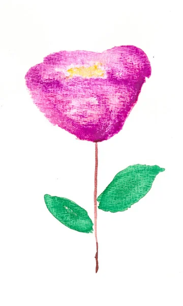 Handgezeichnetes Aquarell Rosa Blume — Stockfoto