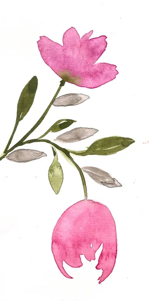 Hand Drawn Watercolor Pink Flowers — Stock Photo, Image