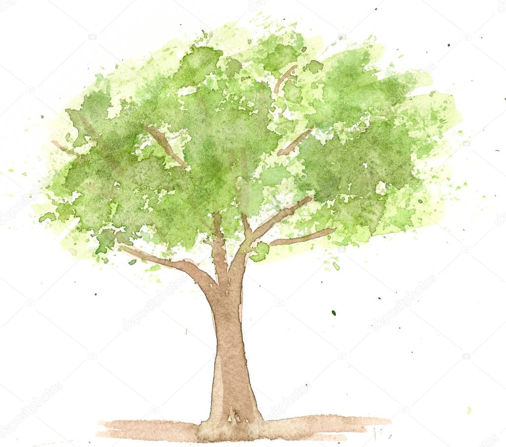 hand drawn watercolor green tree