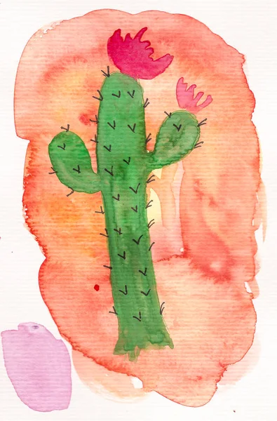 Cactus Aquarelle Dessiné Main — Photo