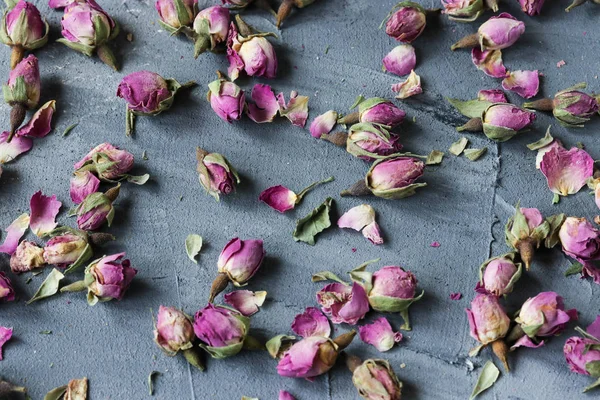 Suszone Pąki Różowy Róż — Zdjęcie stockowe