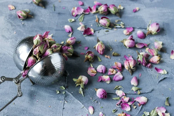 Suszone Pąki Różowy Róż — Zdjęcie stockowe