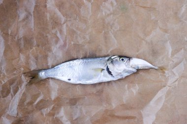 büyük balık küçük balığı yiyor