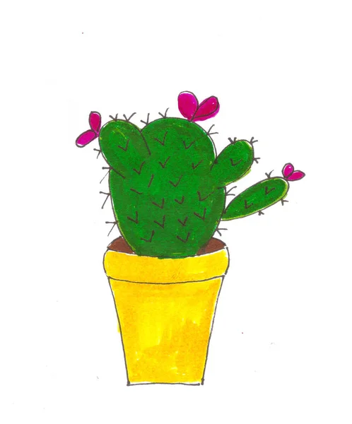 Handmade cactus drawing design