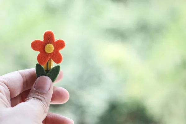 Ręka Trzyma Stokrotka Kwiat Zielonym Tle — Zdjęcie stockowe