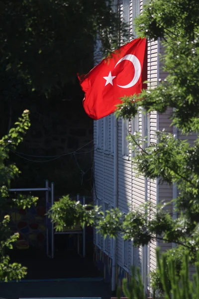 Turkish Flag Waving Turkish Flag Trees — Stock Photo, Image