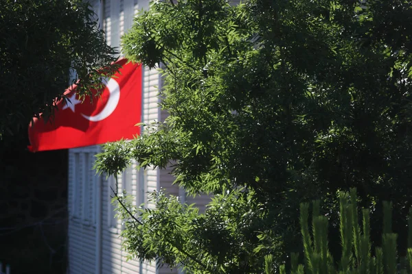 Türk Bayrağı Ağaçların Arasında Türk Bayrağı Sallıyor — Stok fotoğraf