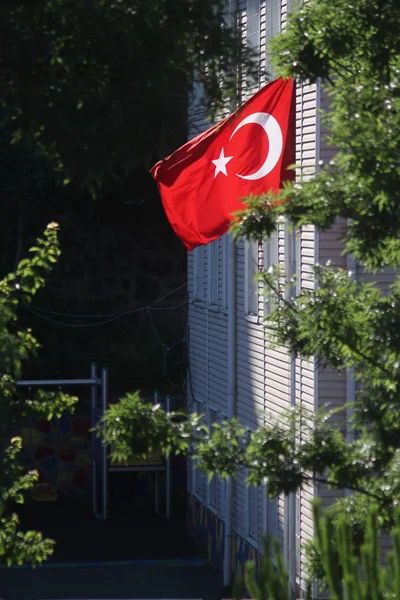 Turkish Flag Waving Turkish Flag Trees — Stock Photo, Image