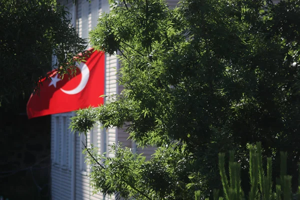 Turkish Flag Waving Turkish Flag Trees — Stock Photo, Image
