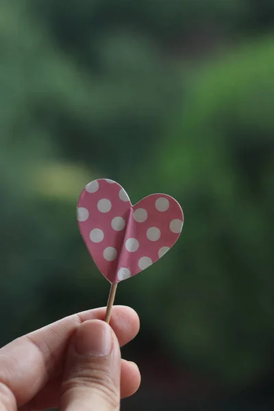 Mão Segurando Polka Rosa Coração Ponto — Fotografia de Stock