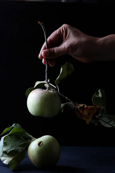 Biologische Verse Natuurlijke Appel Vruchten — Stockfoto