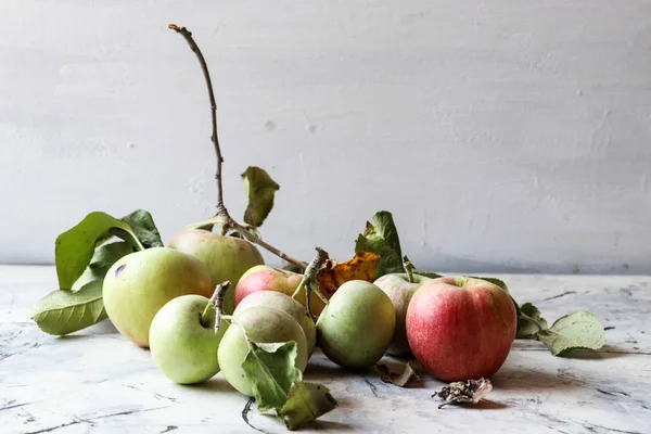 Bio Frische Natürliche Apfelfrüchte — Stockfoto