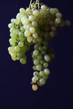 Siyah arka planda bir demet üzüm tutan yeşil üzümler.