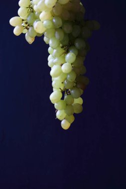 Siyah arka planda bir demet üzüm tutan yeşil üzümler.