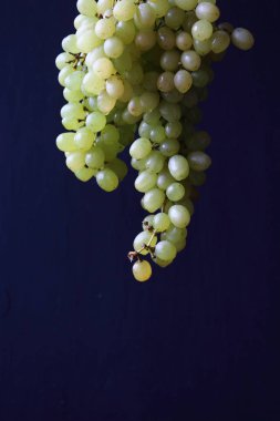 Siyah arka planda bir demet üzüm tutan yeşil üzümler.